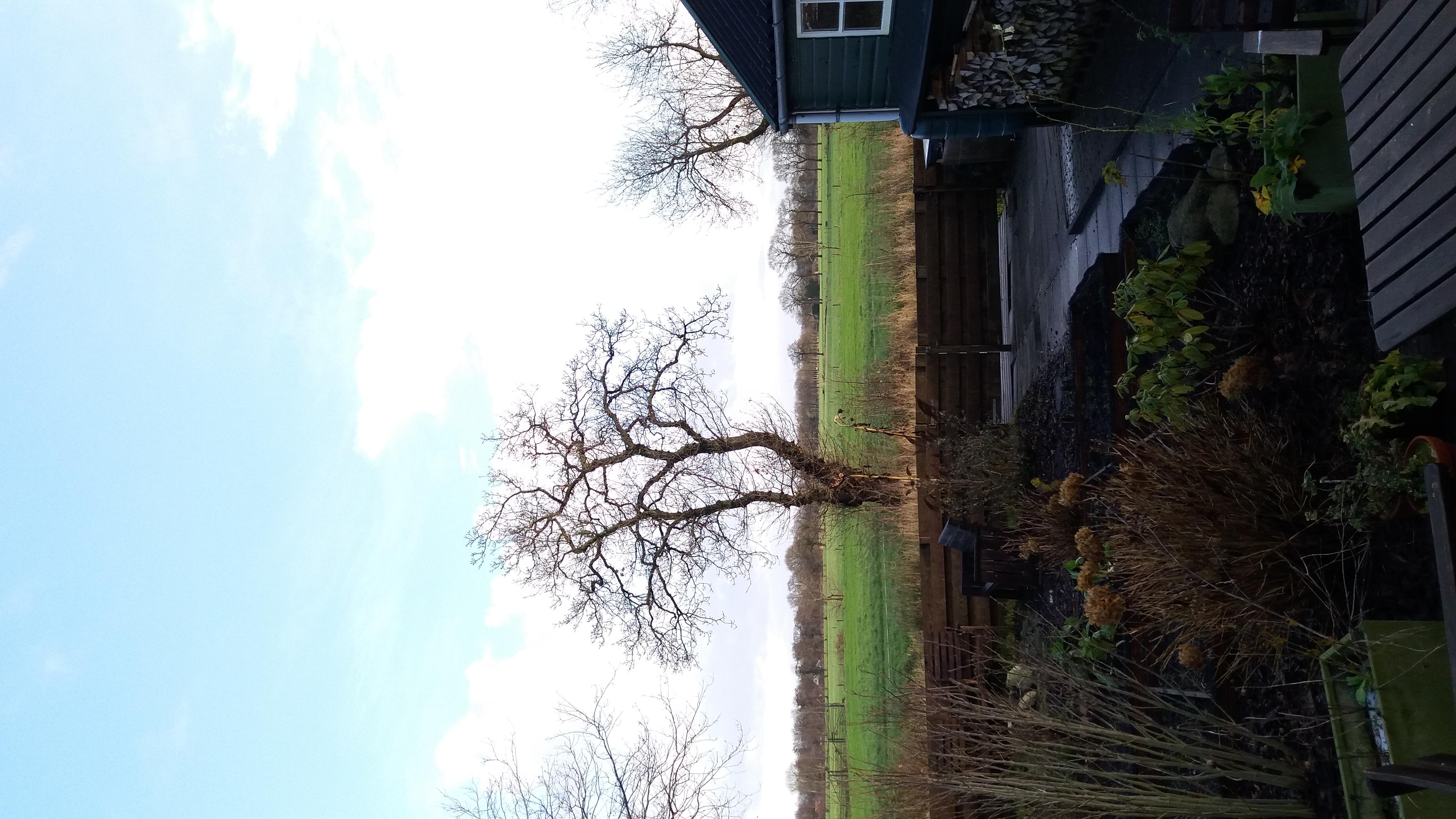 http://www.tenere.nl/wp-content/uploads/hm_bbpui/39804/r0w8jw46uekgqx7h1uew9vvwa1kwymlg.jpg